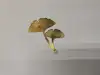 Ginkgo leaf bookmark accessory Specification image